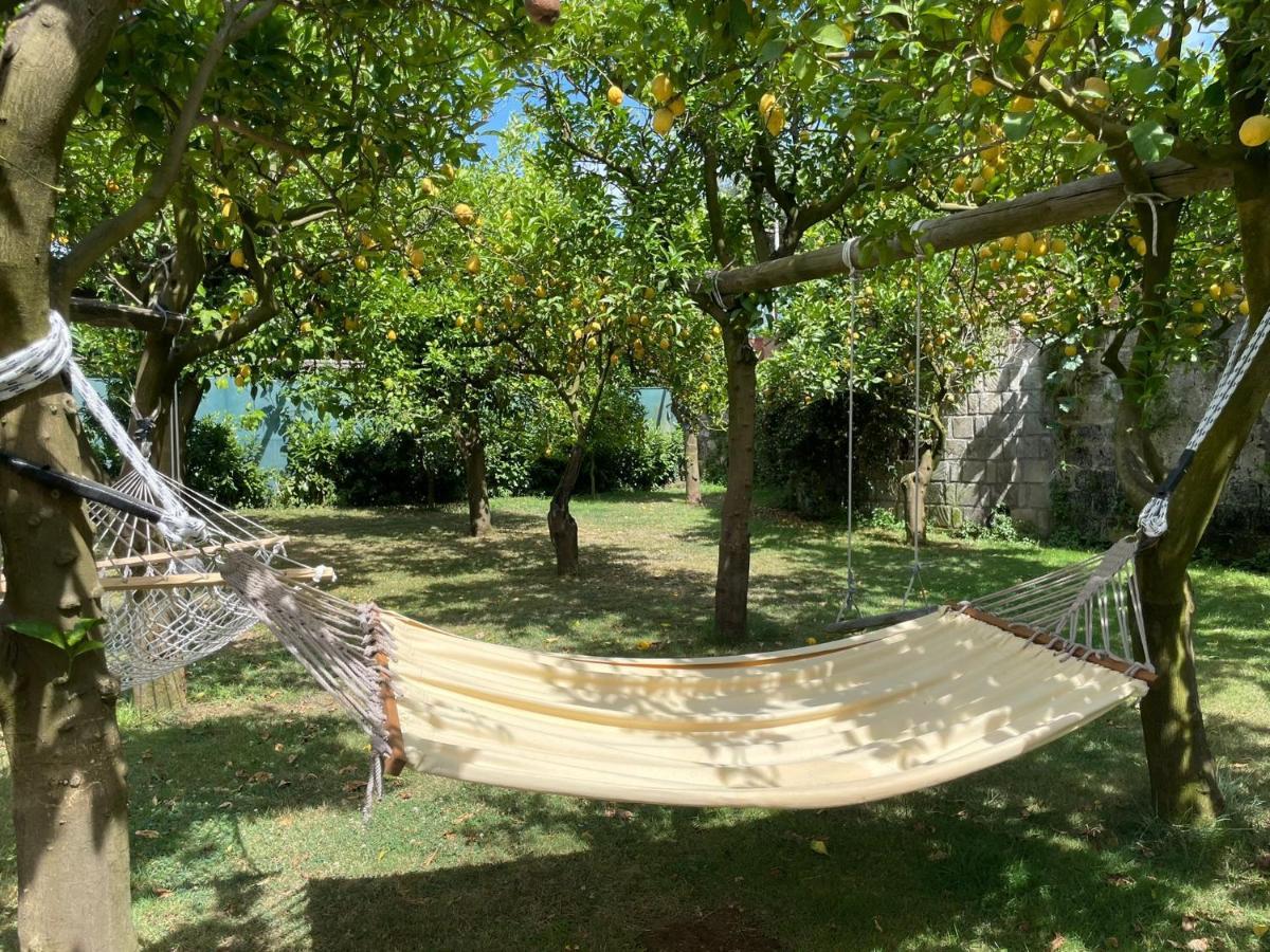 Casa Sorrento, Immerso Nel Verde A Pochi Passi Dal Centro エクステリア 写真