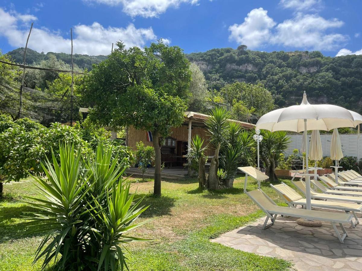 Casa Sorrento, Immerso Nel Verde A Pochi Passi Dal Centro エクステリア 写真