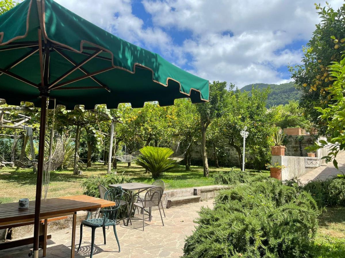 Casa Sorrento, Immerso Nel Verde A Pochi Passi Dal Centro エクステリア 写真